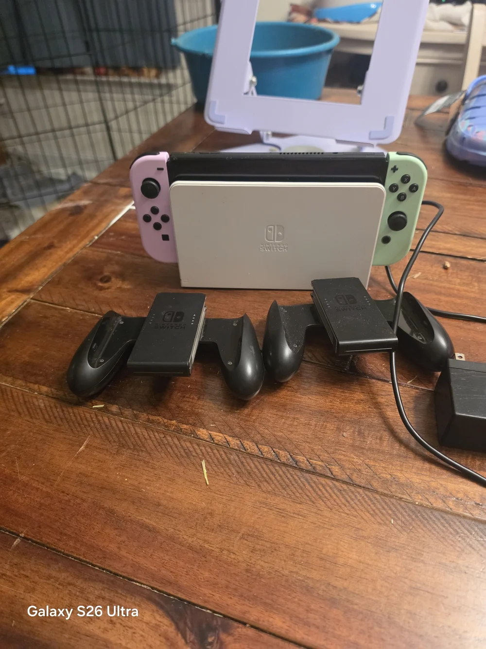 Nintendo adult owned